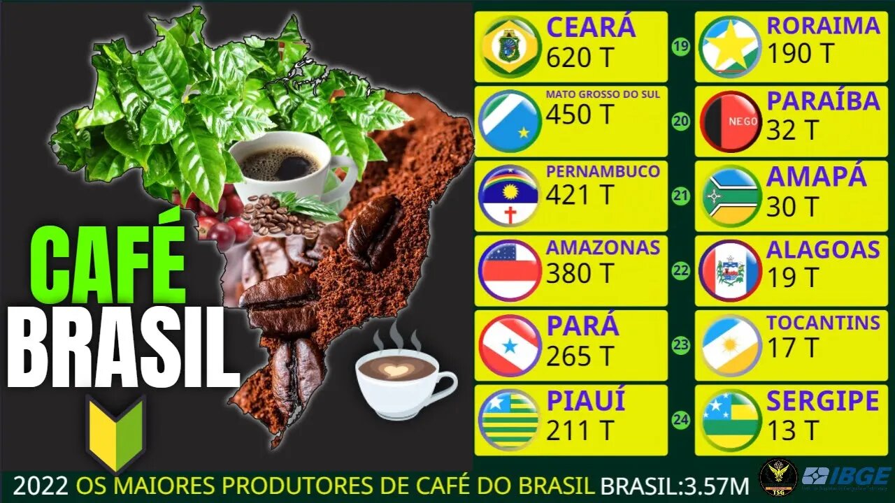 Os Maiores Produtores de Café do Brasil | 1974-2022