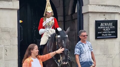 Tourist ignors the sign holds the bit #horseguardsparade