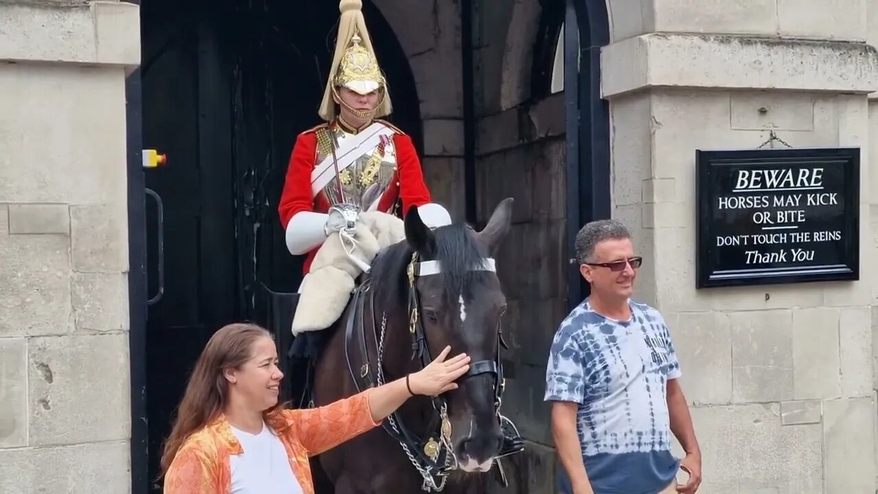 Tourist ignors the sign holds the bit #horseguardsparade