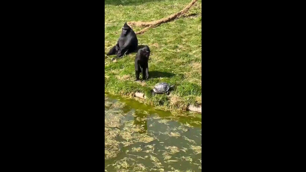 Best animals 😜