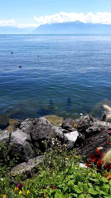 Life in Switzerland in summer 2020