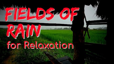 Fields of Rain for Relaxation | Rain Series | Ambient Sound | What Else Is There?