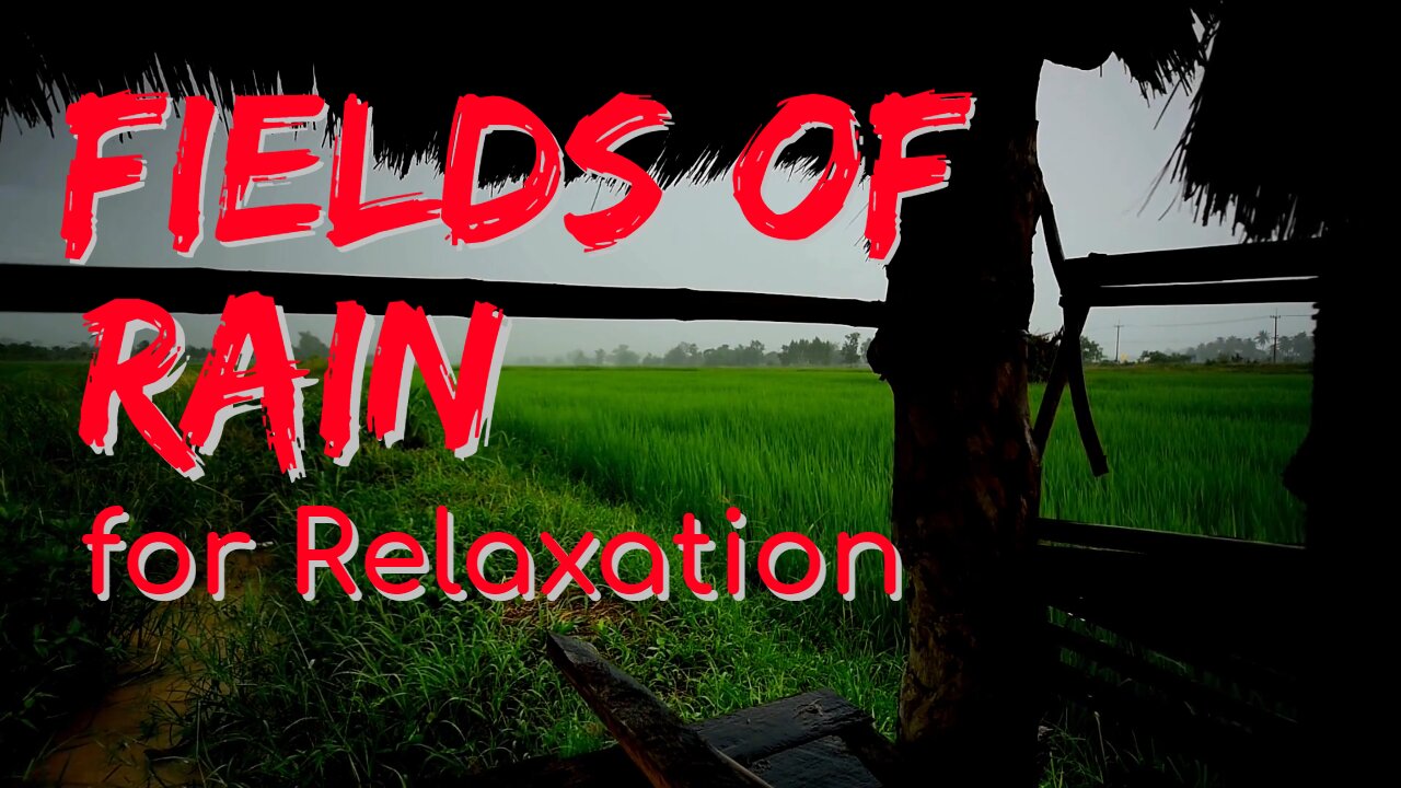 Fields of Rain for Relaxation | Rain Series | Ambient Sound | What Else Is There?