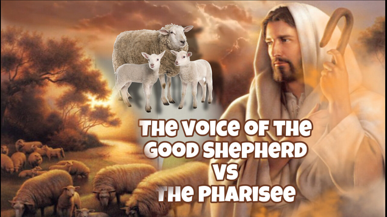 The Good Shepherd vs the Pharisee