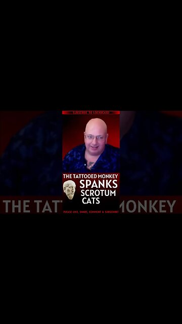 MONKEY SPANKS SCROTUM CATS