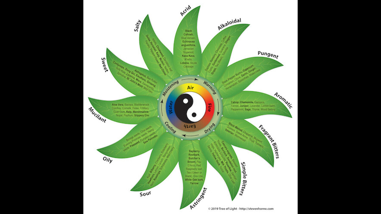 An Introduction to Herbal Energetics