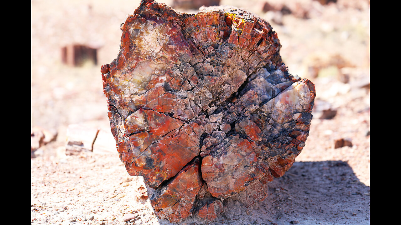 Petrified Forest National Park, HolBrook AZ, Part 2