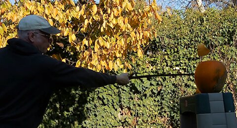 Cutting Pumpkins With A Sword - Hilarious