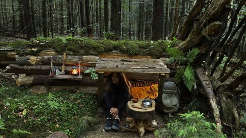 Build survival BUNKER in the Wild. Overnight bushcraft camp alone. Outdoor cooking