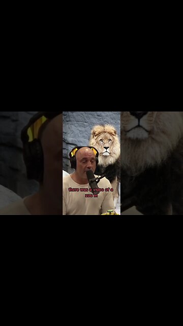 Predators have a deep desire to Kill - The balance in nature - Andrew Huberman & Joe Rogan