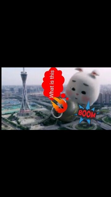 Bunny Rabbit what is this?! #shorts #21 @Animals Channel