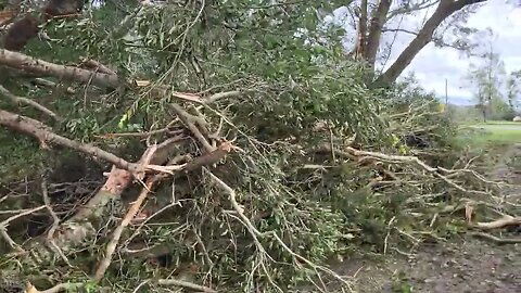 Mayo Florida Road Hurricane Idalia my dirt road