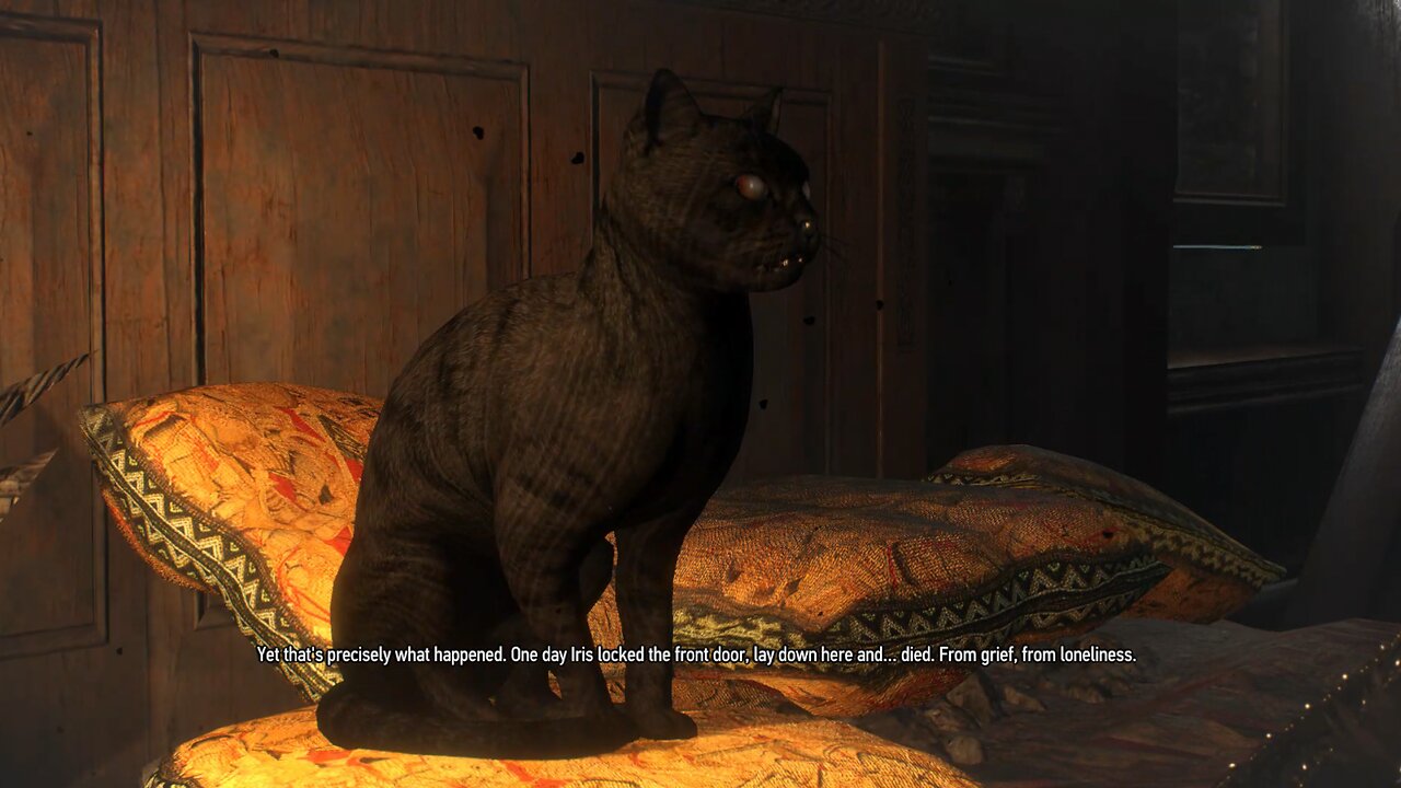The Witcher 3 scenes from marriage p3