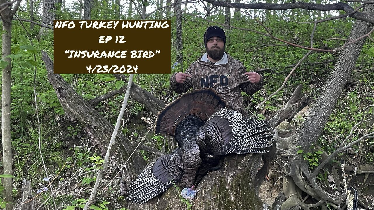 NFO TURKEY HUNTING EP 12 “Insurance Bird”