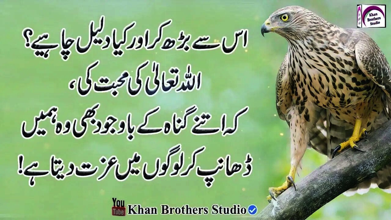 Sad Quotes about Life Urdu Quotes Collection Sad Quotes Sad Quotations Heart Touching Quotes