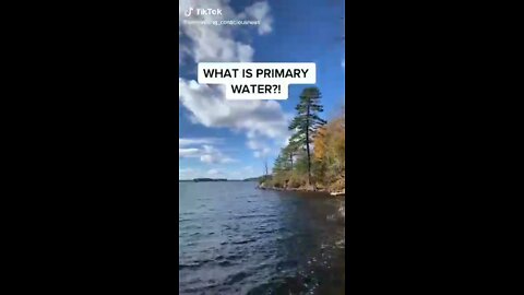 Primary Water