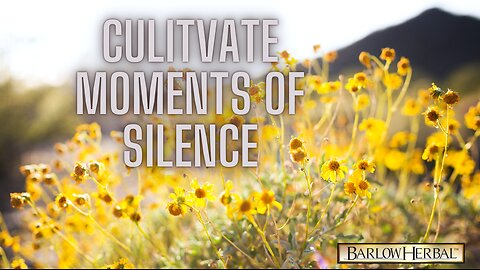 Cultivating Silence for Your Soul's Journey