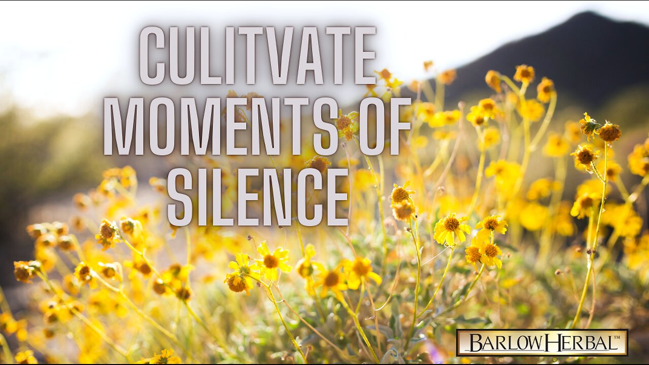 Cultivating Silence for Your Soul's Journey