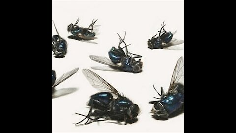 4-15-21 15 Minutes Ov Flame -- Dropping Like Flies