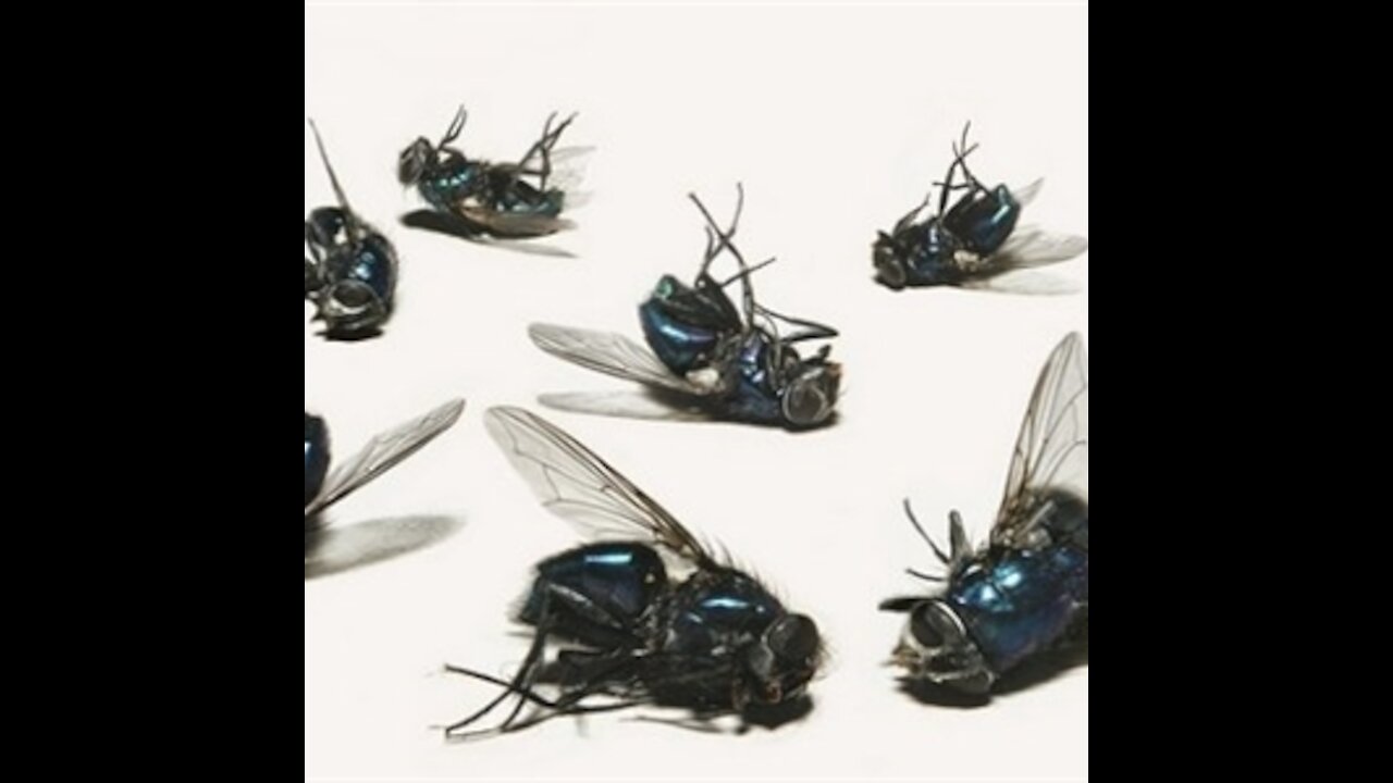 4-15-21 15 Minutes Ov Flame -- Dropping Like Flies