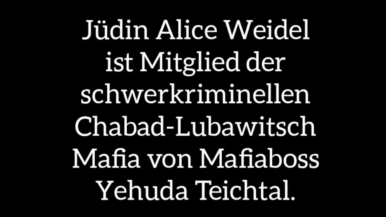 Die Wahrheit über Alice Weidel