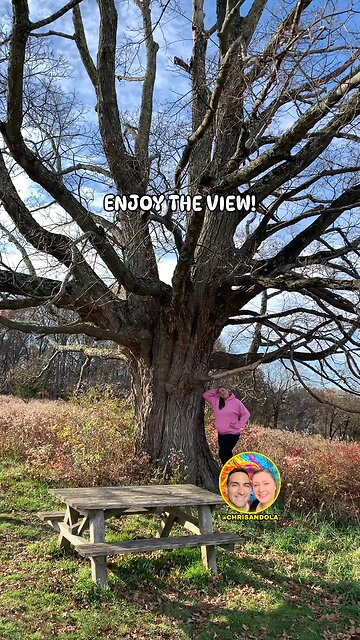 HOW DO YOU LIKE THE VIEW?