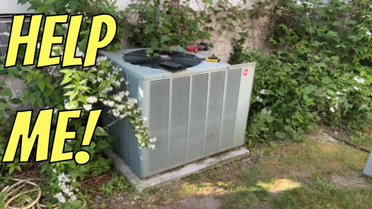 Central AC Outdoor Condenser Overgrown by Bushes & Vegetation Brought Back to Life