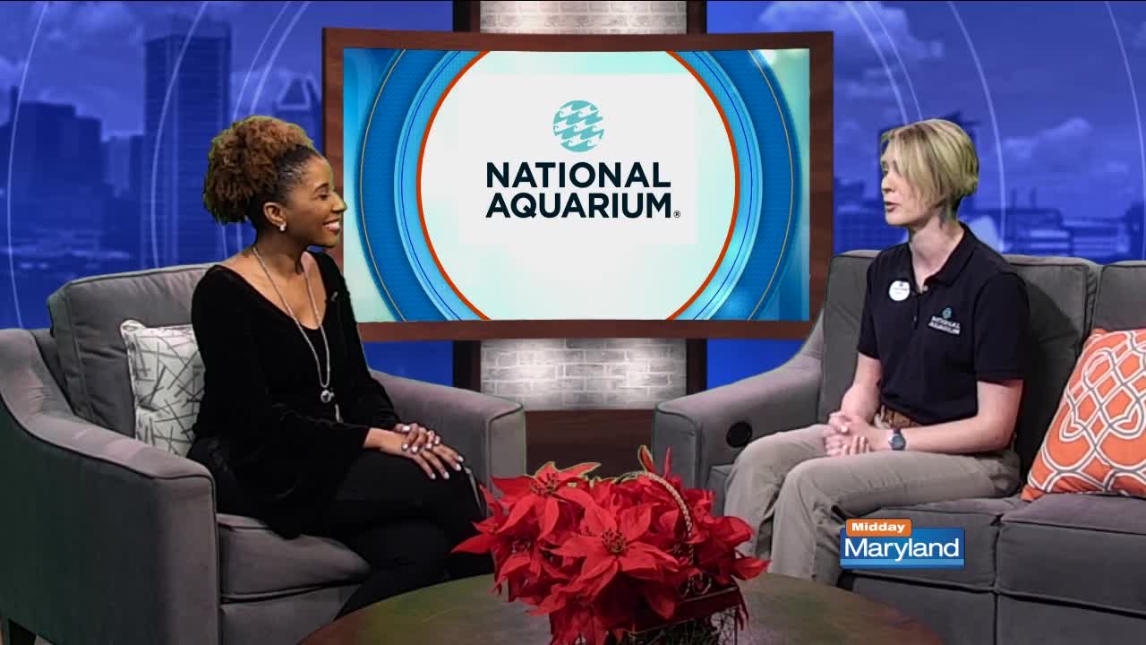 National Aquarium
