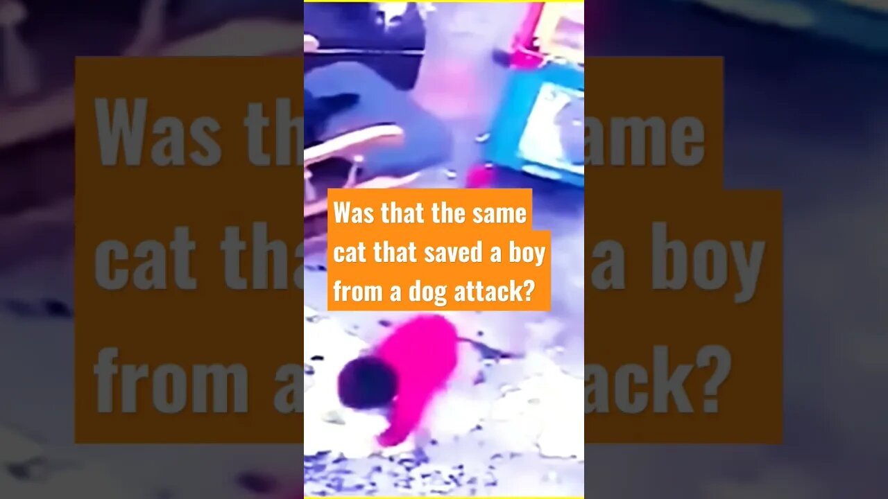 It Happened So Fast!