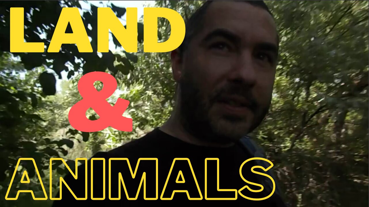 A New Homestead Journey Begins | Can We Break the Golden Shackles?