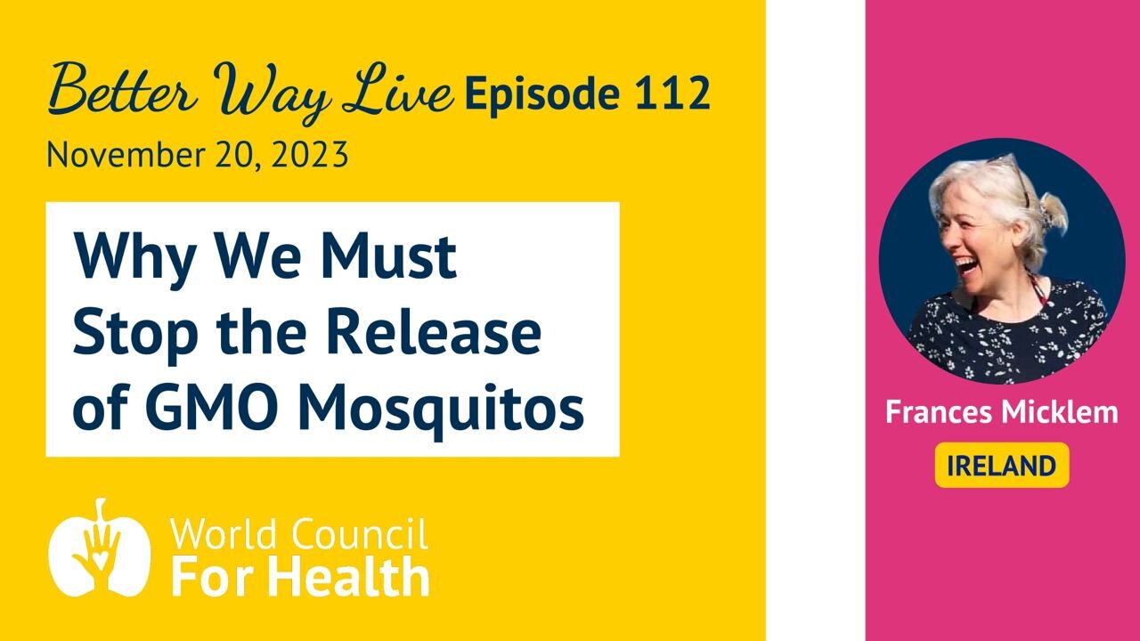 Why We Must Stop the Release of GMO Mosquitos