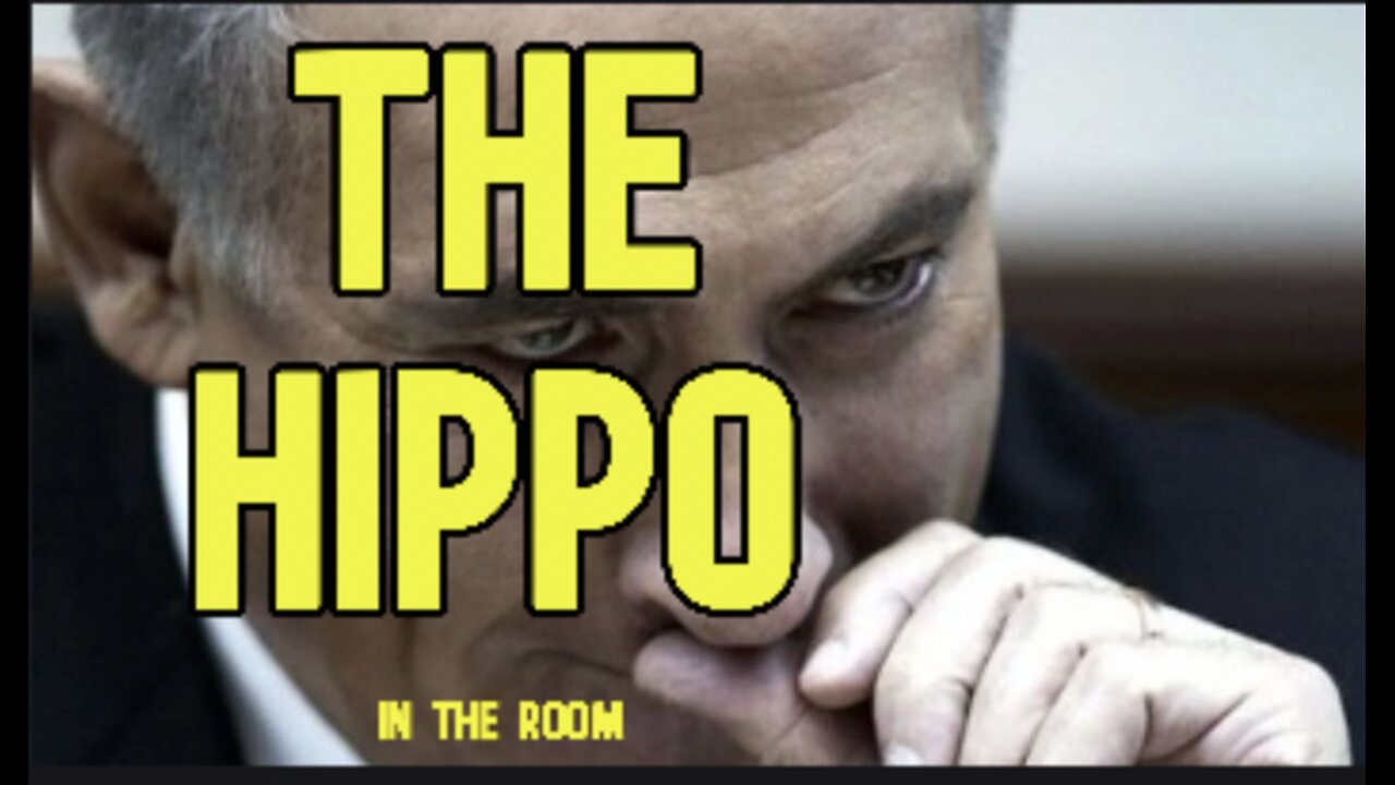 The Hippo in the Room