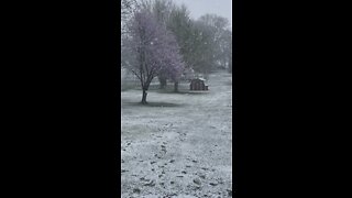 3rd winter this year