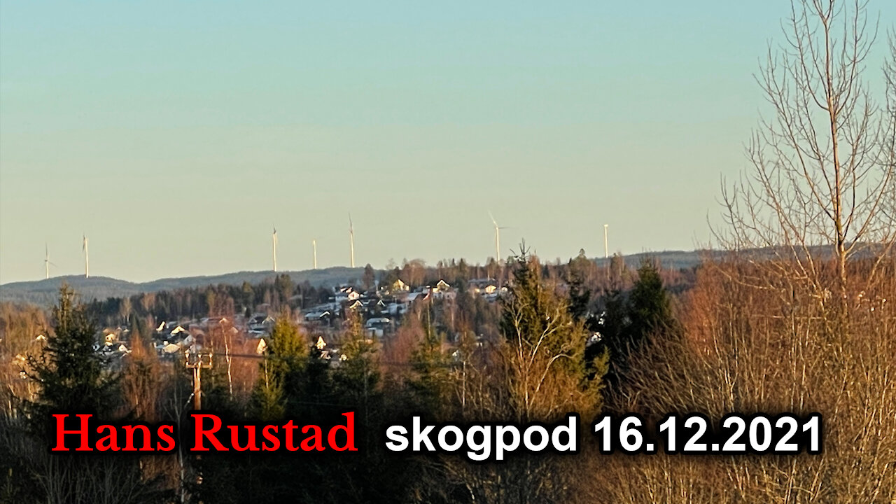 Skogpod 16. desember: Gleden av å plage andre