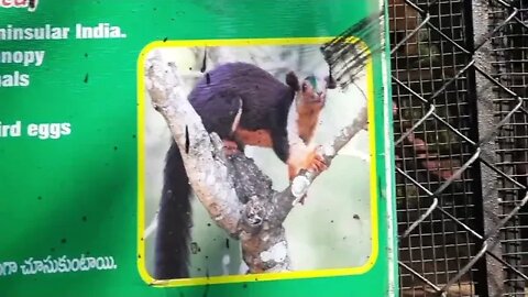 200 years old Tortoise | Nehru zoological park part 1 Hyderabad