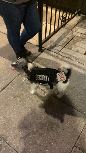 Bier Hause security