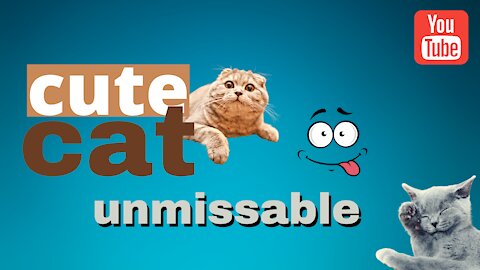 Baby Cats - Cute and Funny Cat Videos Compilation 2021 uau