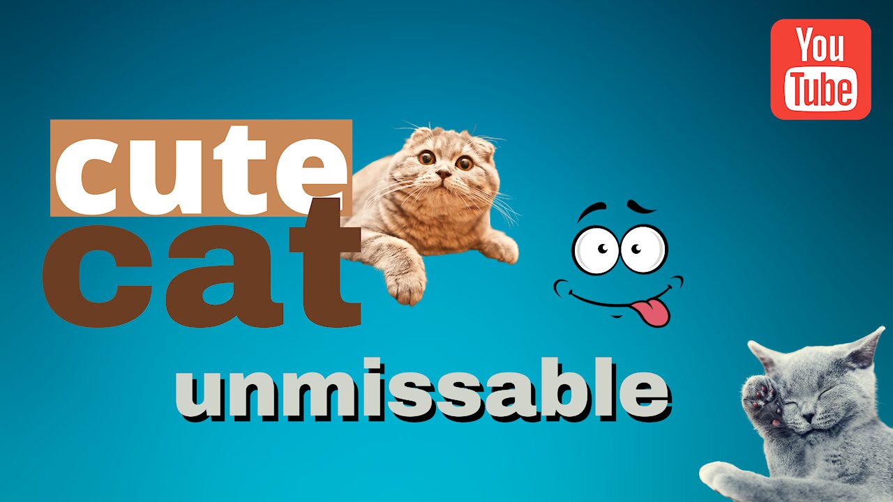 Baby Cats - Cute and Funny Cat Videos Compilation 2021 uau