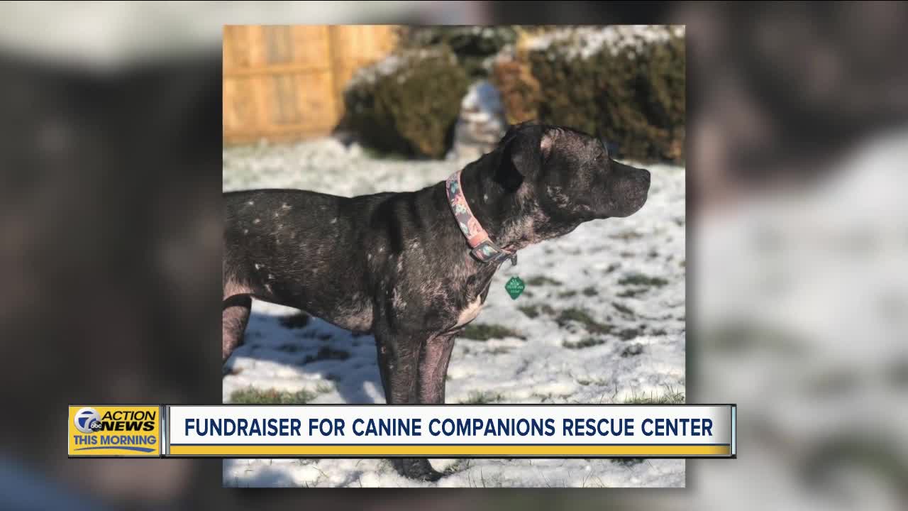 For The Love Of Dogs Fundraiser