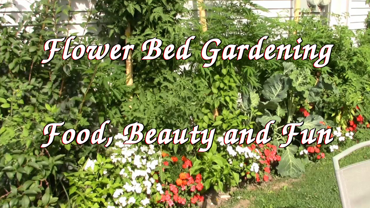 💛⚘🌷💛 Flowerbed Gardening