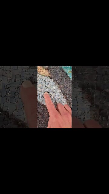 Are you a Jungle Book Fan?! #shorts #puzzle #jigsawpuzzles #junglebook #puzzles