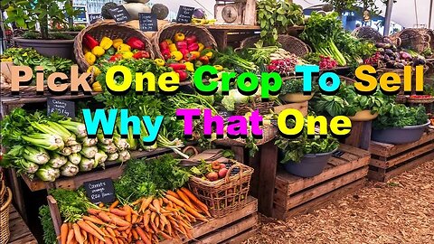 No. 964 – Pick One Crop To Sell – Why That One