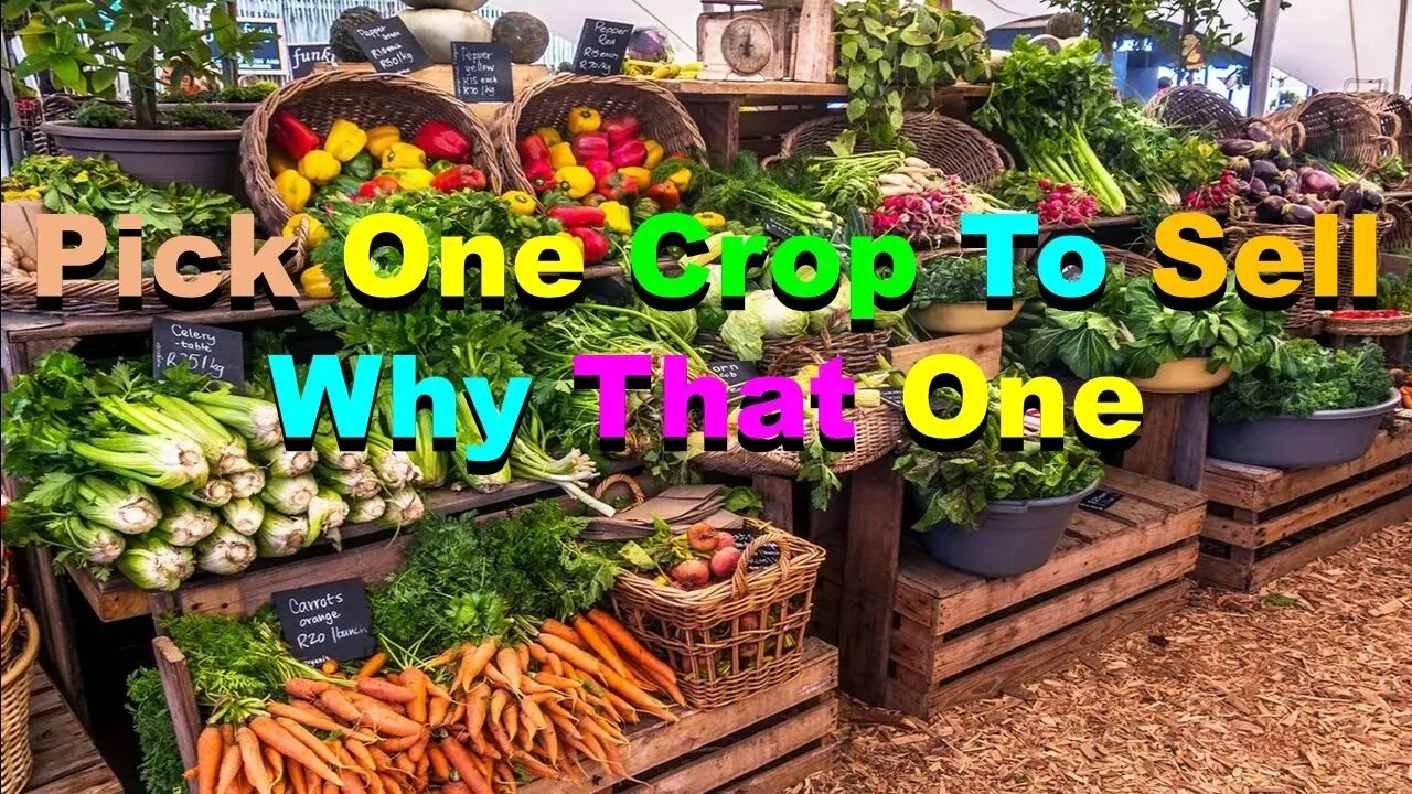 No. 964 – Pick One Crop To Sell – Why That One