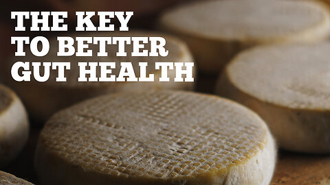 EP: 450 Ancestral Cheesemaking for Better Gut Health: Benefits of Traditional Methods w/ David Asher