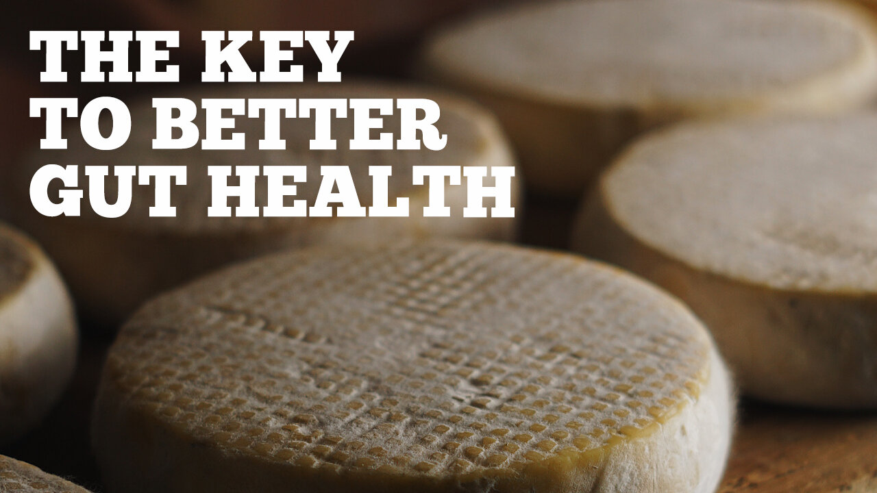 EP: 450 Ancestral Cheesemaking for Better Gut Health: Benefits of Traditional Methods w/ David Asher