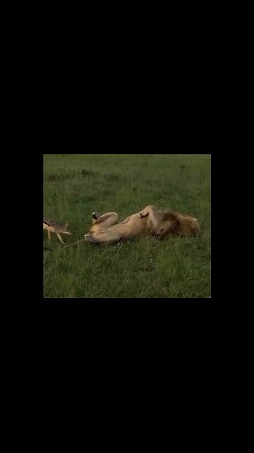 Doesn't know who he's joking with