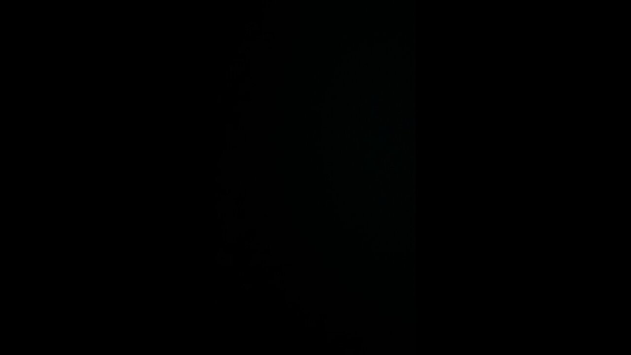 How to pronounce insurrectionist