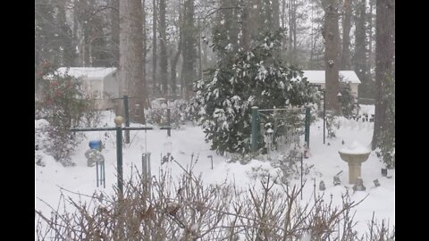 January Snow in Spartanburg