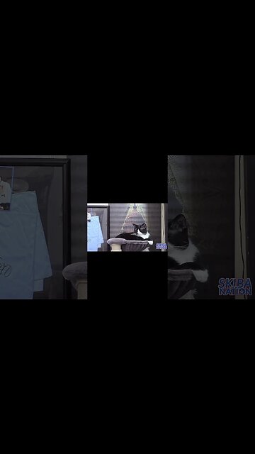 When @JeremiahSkiba’s Cat Charlie Steals The Show!