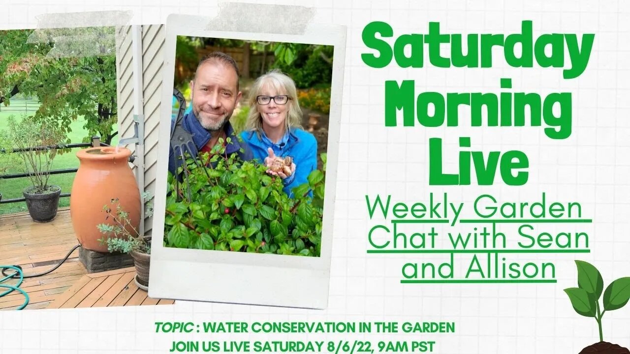 ☕ Water Saving Tips for the Garden | Saturday Morning LIVE Garden Chat ☕